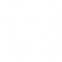 Dog Friendly